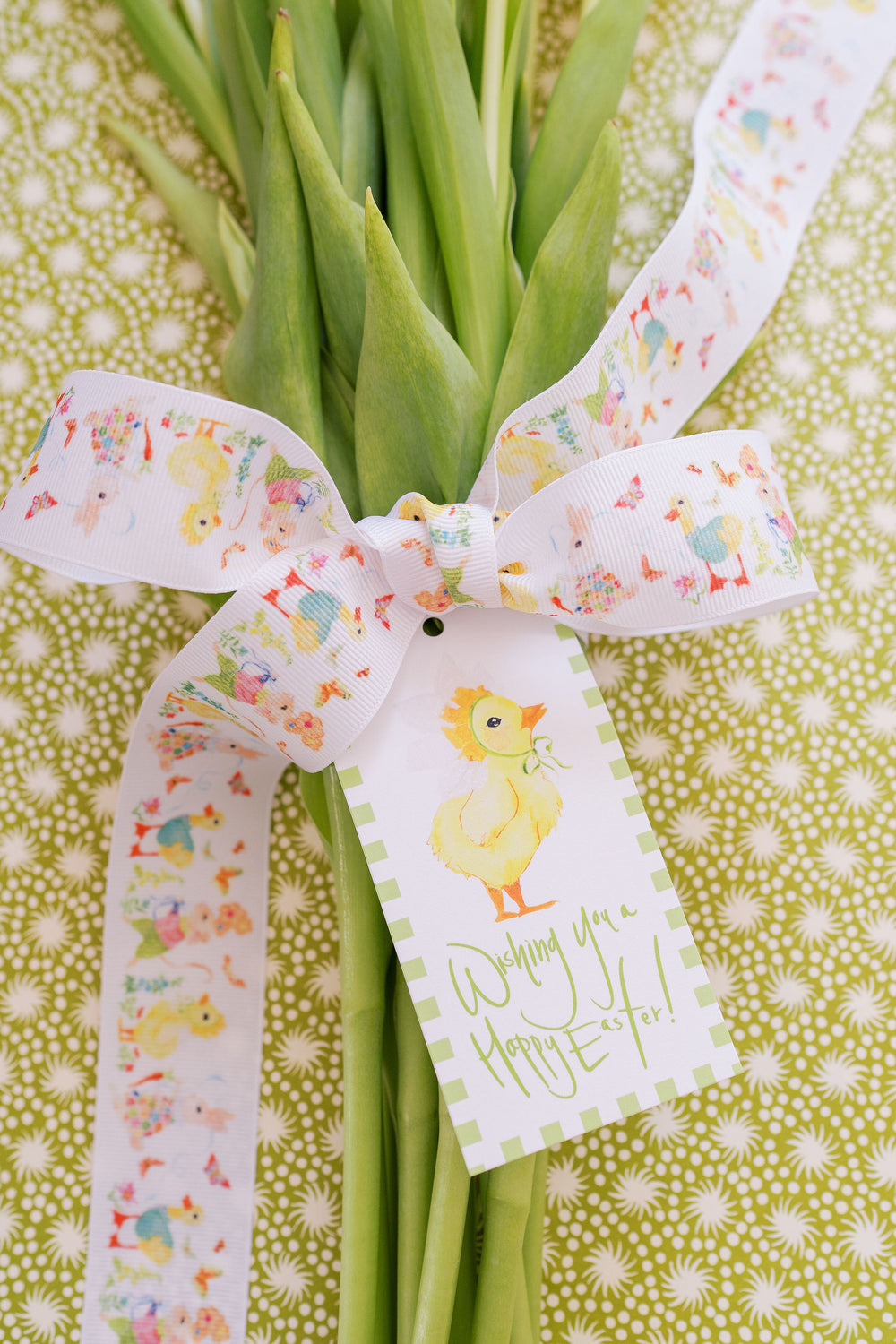 Nina Rosner for Fete Papier Spring Party Animals Ribbon