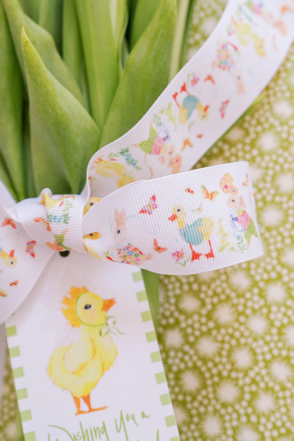 Nina Rosner for Fete Papier Spring Party Animals Ribbon