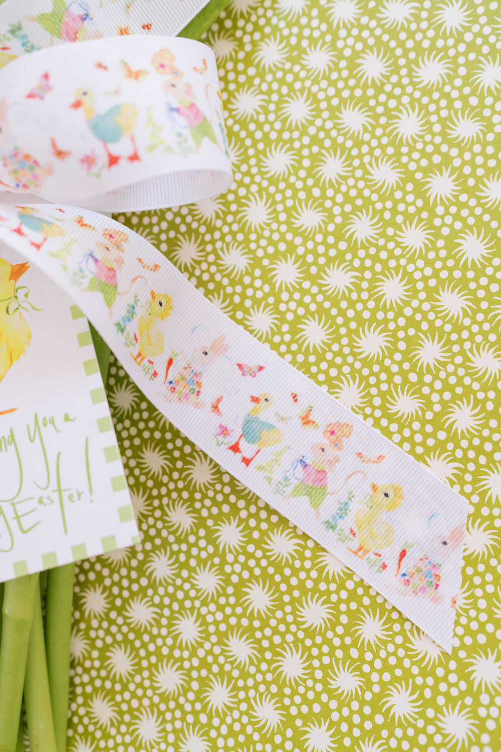 Nina Rosner for Fete Papier Spring Party Animals Ribbon